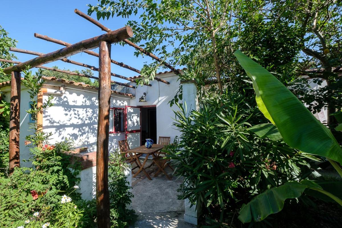 La Rosa Dei Venti Aparthotel Procida Luaran gambar