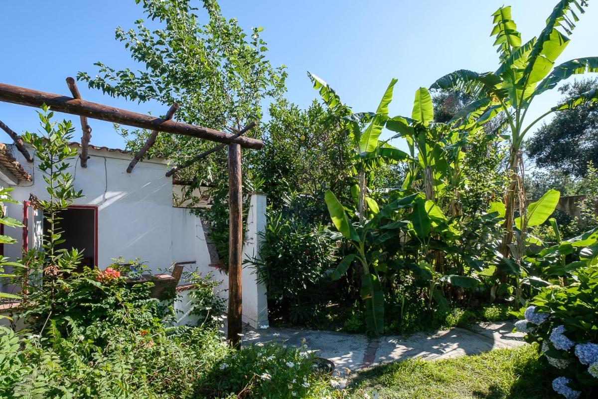 La Rosa Dei Venti Aparthotel Procida Luaran gambar