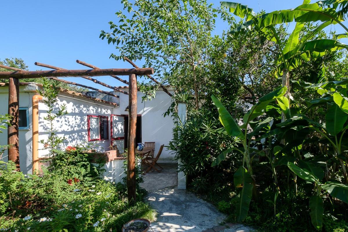 La Rosa Dei Venti Aparthotel Procida Luaran gambar