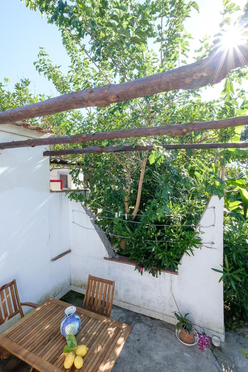 La Rosa Dei Venti Aparthotel Procida Luaran gambar
